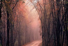 开云体育-欧冠期待豪门对决，星辰大海谁更耀眼