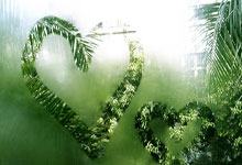 开云体育APP下载-樱花落处，誓言无声——广岛三箭的未完待续