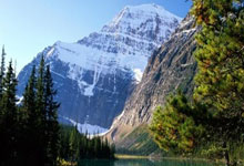 开云下载-幕后制胜法则：揭秘阿森纳主场零封背后的隐形盔甲