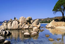 开云官网-咫尺乾坤！争冠热门积分榜上演生死时速，毫厘之间定江山