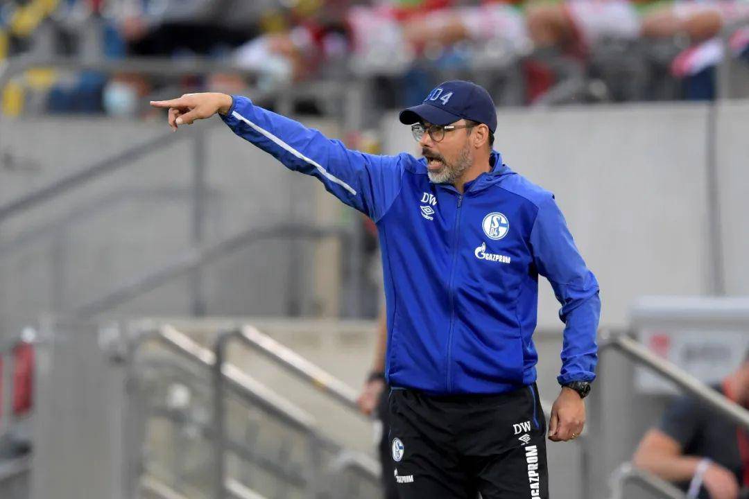 沙尔克主场失利,连续两轮遭遇颓势的简单介绍 沙尔克主场失利,连续两轮遭遇颓势的简单介绍