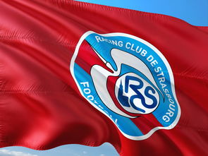 开云APP-西悉尼流浪者进攻端火力强劲，欲破帕尔梅拉斯防线