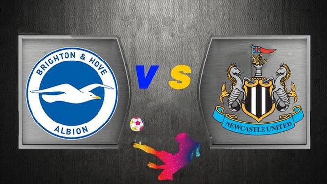 开云体育app-布莱顿取得胜利，保级前景乐观的简单介绍