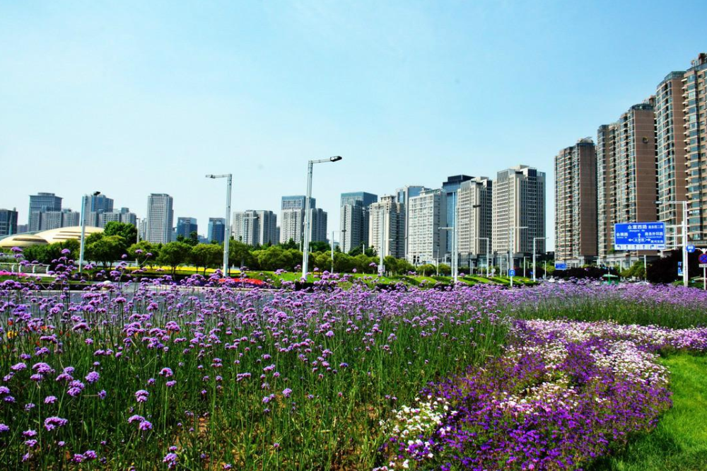 杭州绿城努力拼搏,为取得胜利不懈努力 杭州绿城努力拼搏,为取得胜利不懈努力