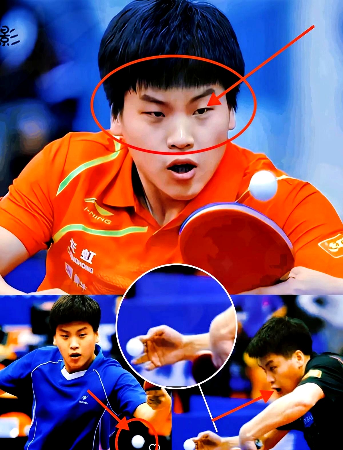 开云APP-关于比利时乒乓球队碾压波兰乒乓球队,张继科关键制胜的信息
