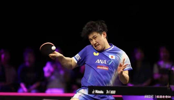 开云体育下载-波兰队绝杀中国队,张本智和刷新纪录