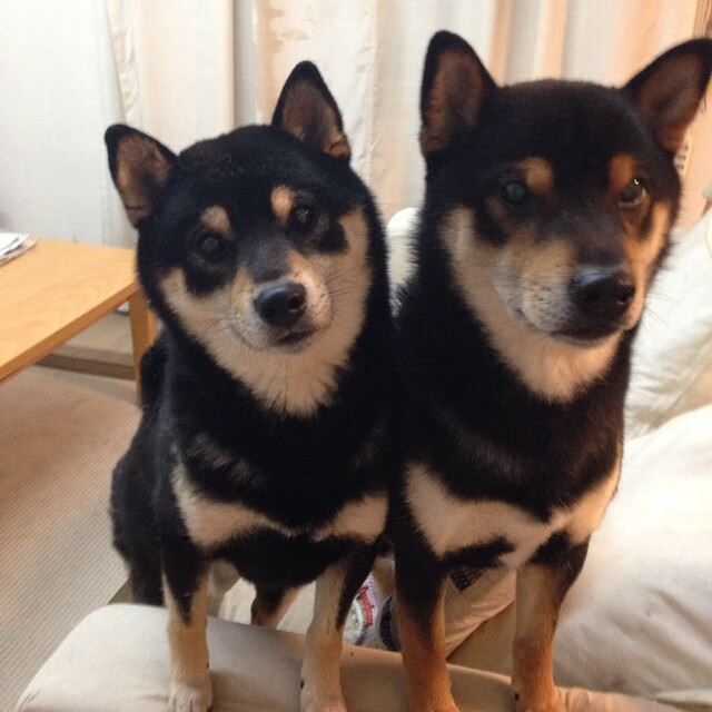 无名之辈终结豪门,当霍勒迪将球送入篮网,整个NBA都屏住了呼吸