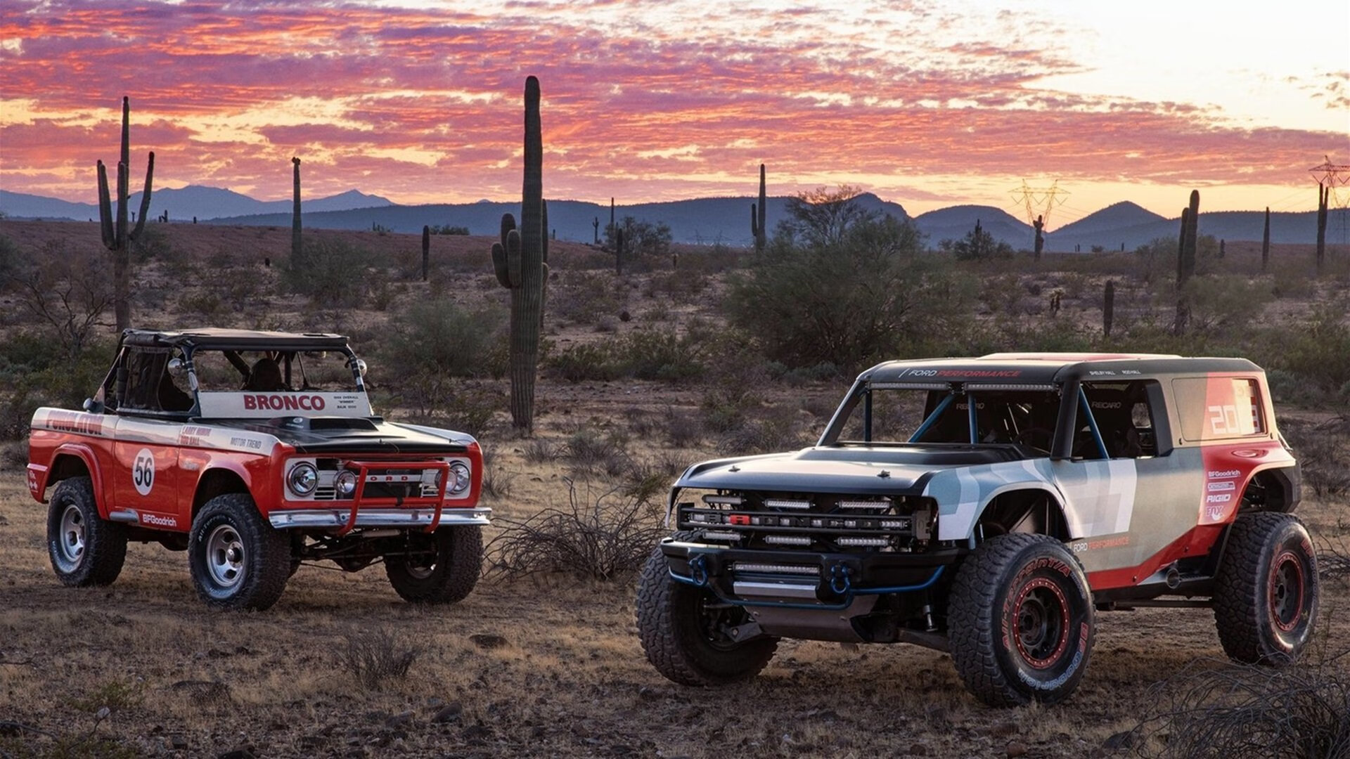 开云官网-球探战争，美加墨世界杯上，多特蒙德如何收割喀麦隆足球的明天