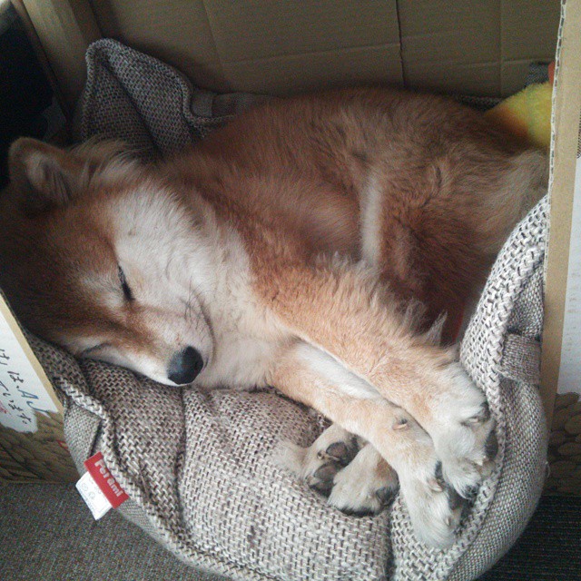 开云体育官网-北欧寒冰与沙漠烈焰的较量，卡马文加如何在中场炼狱中编织胜利