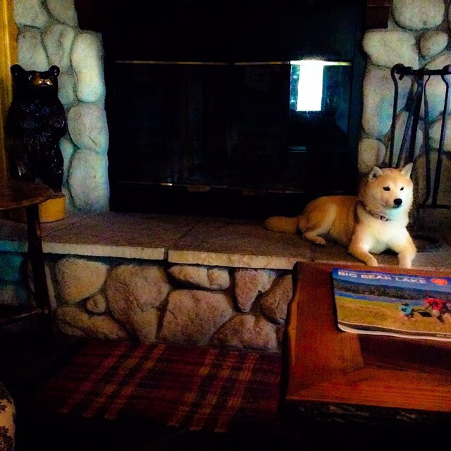 开云APP-末节决胜，从NBA总决赛到多特蒙德带走摩纳哥的启示