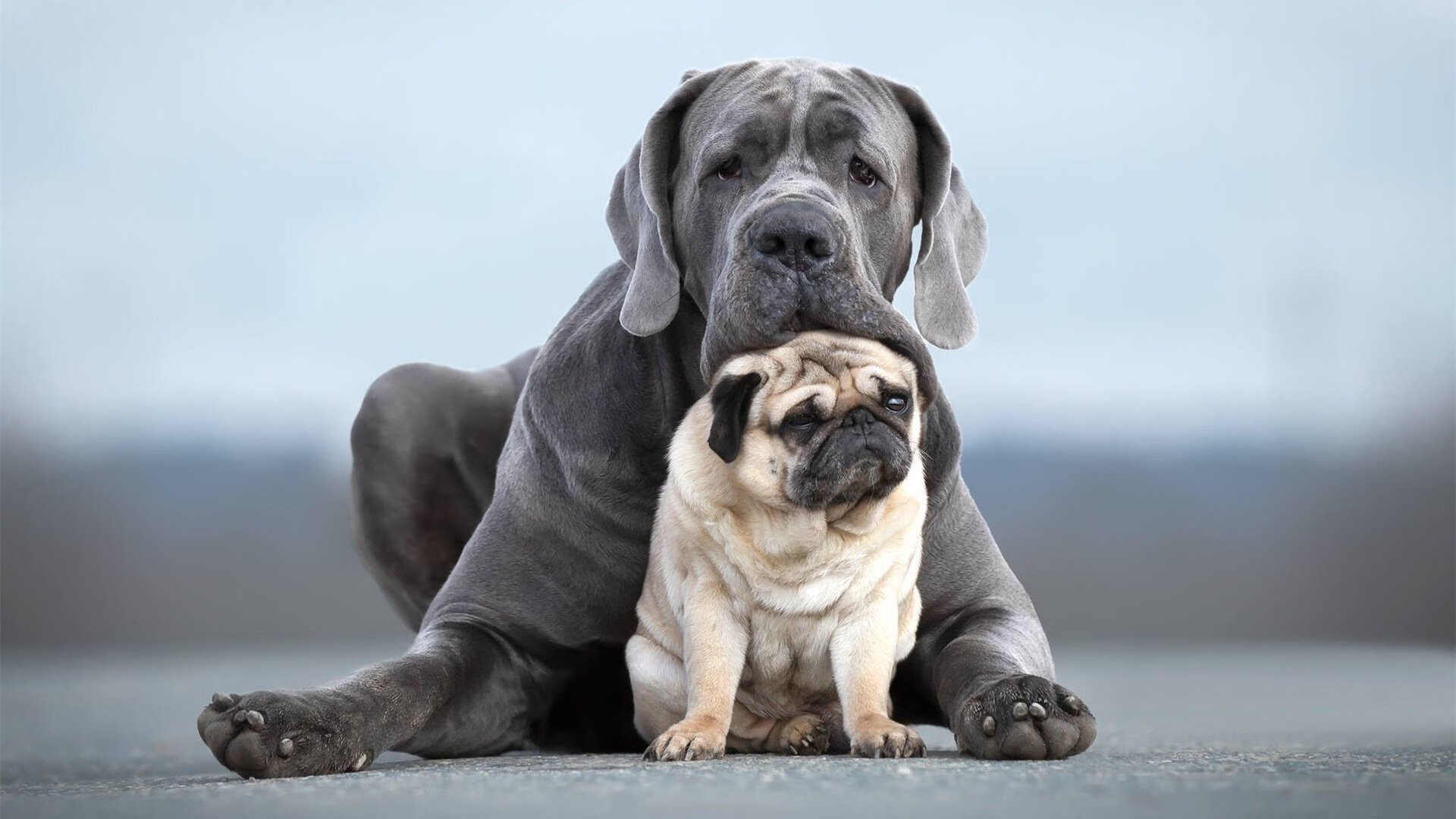 开云体育平台APP-皇马南非行，卡塞米罗不仅是盾牌，更是钥匙