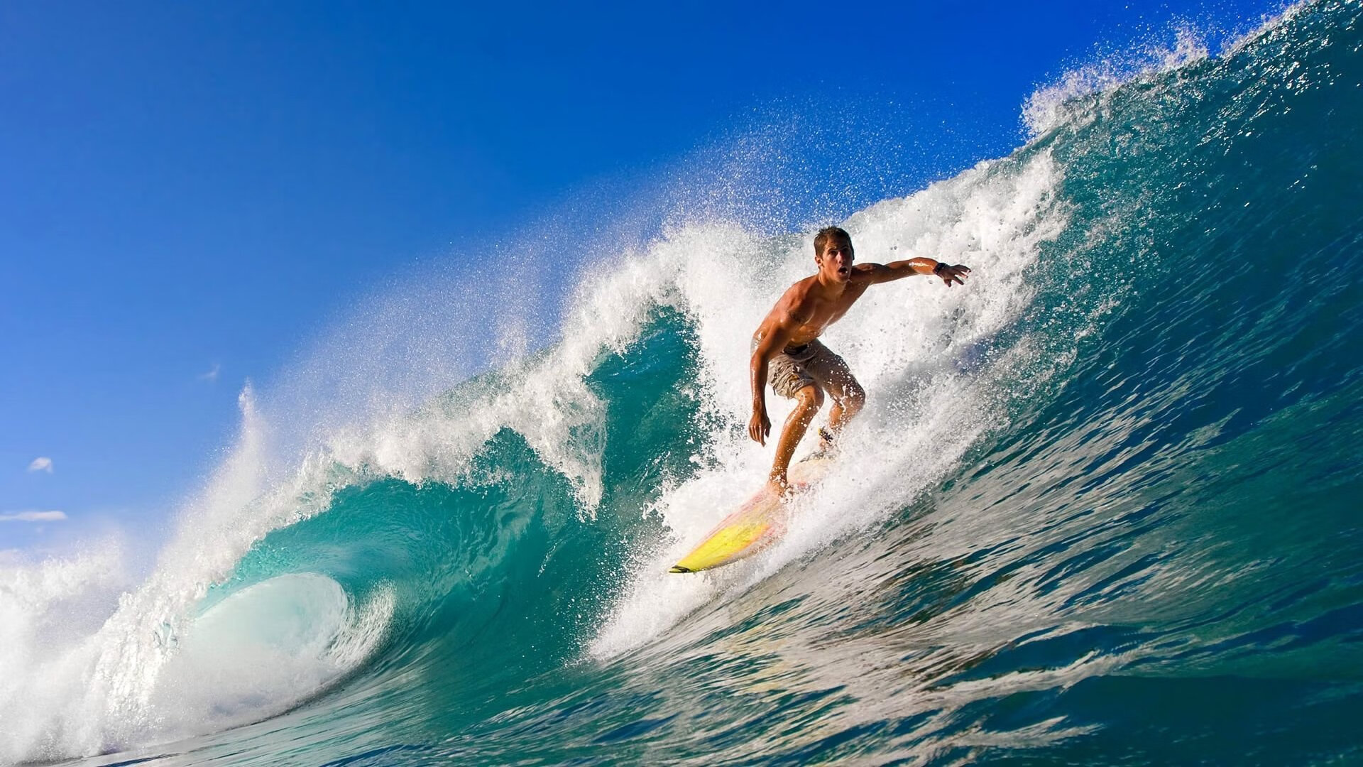 武切维奇末节主宰比赛，篮网发力带走新疆队迎热身赛胜利