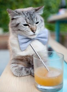 开云体育在线-北欧风暴席卷美利坚，挪威惊天颠覆欧洲红魔，2026世界杯上演童话序章