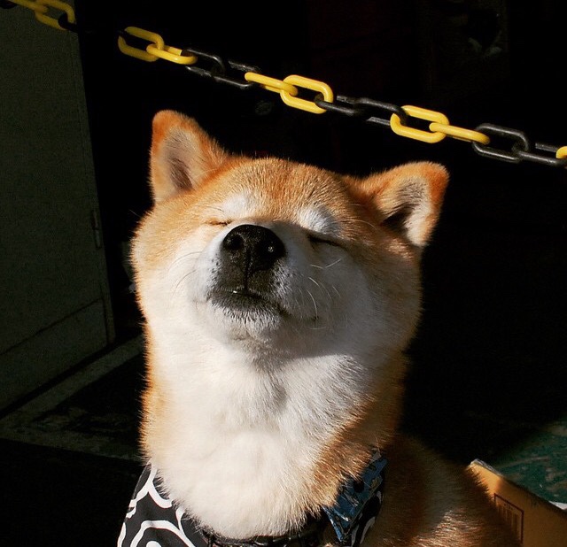 被低估的孤星，英格拉姆如何用一场季后赛高光完成自我正名