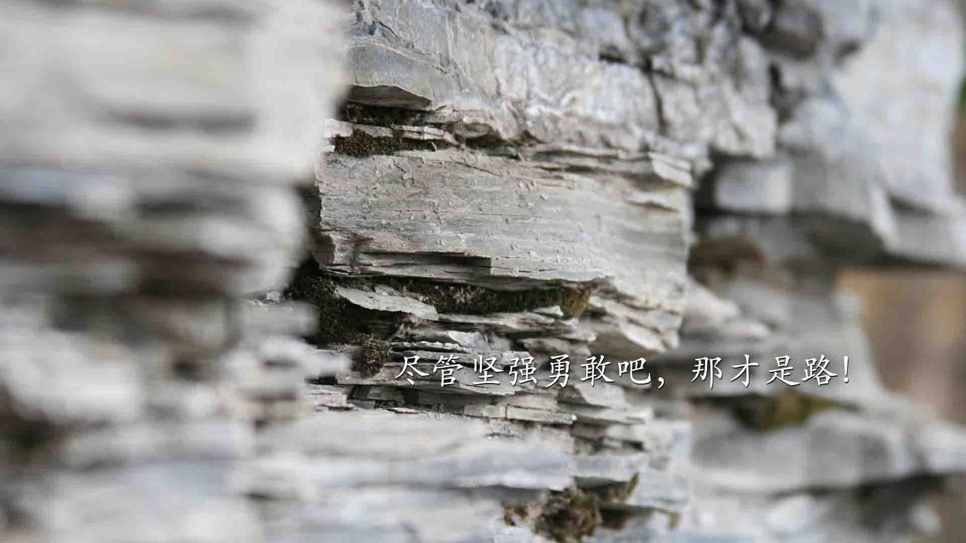 绿茵场与赛道,生死战的永恒命题