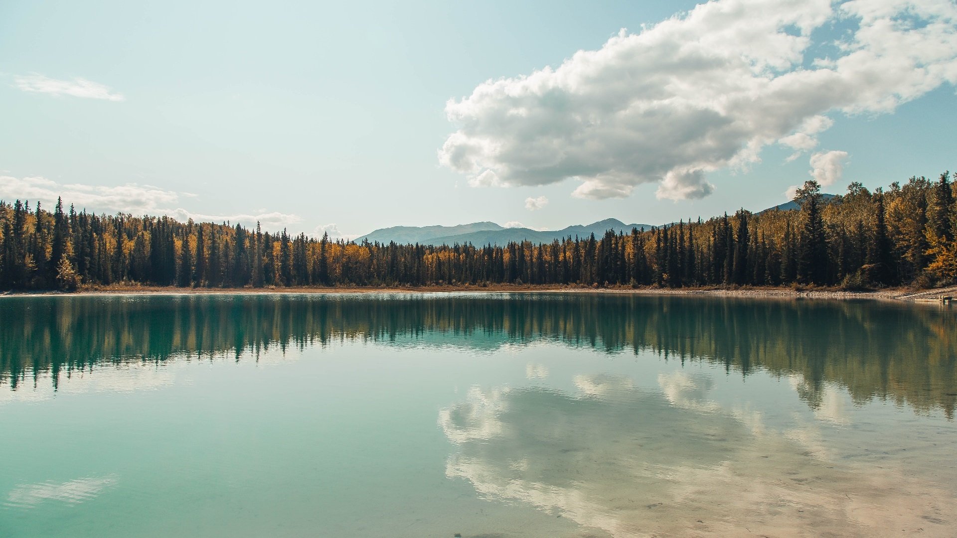 开云下载-利拉德化身关键先生，深圳队狂胜活塞彰显实力