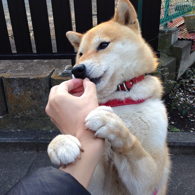 压哨绝杀！杜兰特一剑封喉，独行侠惊险逆转湖人